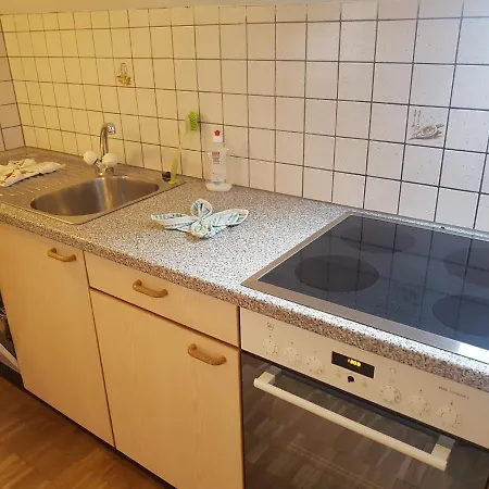 Spacious Living Appartement Arbedo-Castione