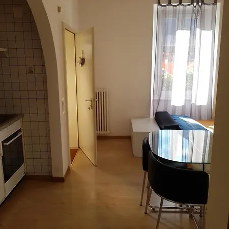 Spacious Living Appartement Arbedo-Castione